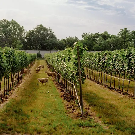 Schlafgut Am Johanneshof Hotell Tattendorf