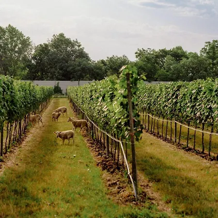 Schlafgut Am Johanneshof