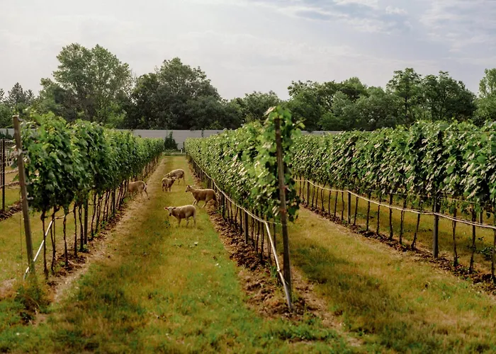 Schlafgut Am Johanneshof Hotell Tattendorf