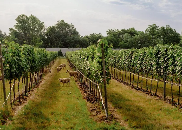 Schlafgut Am Johanneshof